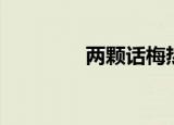 两颗话梅热量（话梅热量）