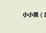 小小黑（关于小小黑介绍）