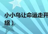 小小鸟让命运走开（关于小小鸟让命运走开介绍）