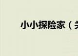 小小探险家（关于小小探险家介绍）