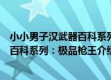 小小男子汉武器百科系列：极品枪王（关于小小男子汉武器百科系列：极品枪王介绍）