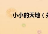 小小的天地（关于小小的天地介绍）