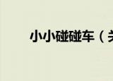 小小碰碰车（关于小小碰碰车介绍）