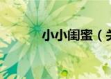 小小闺蜜（关于小小闺蜜介绍）