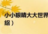 小小眼睛大大世界（关于小小眼睛大大世界介绍）