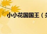 小小花国国王（关于小小花国国王介绍）