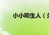 小小陌生人（关于小小陌生人介绍）