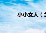 小小女人（关于小小女人介绍）