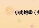 小尚炮拳（关于小尚炮拳介绍）