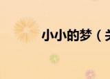 小小的梦（关于小小的梦介绍）