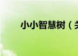 小小智慧树（关于小小智慧树介绍）