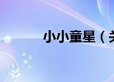小小童星（关于小小童星介绍）