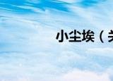 小尘埃（关于小尘埃介绍）