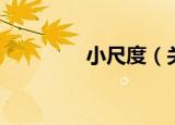 小尺度（关于小尺度介绍）