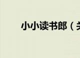 小小读书郎（关于小小读书郎介绍）
