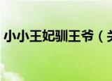 小小王妃驯王爷（关于小小王妃驯王爷介绍）