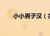 小小男子汉（关于小小男子汉介绍）