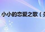 小小的恋爱之歌（关于小小的恋爱之歌介绍）