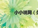 小小说网（关于小小说网介绍）