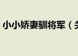 小小娇妻驯将军（关于小小娇妻驯将军介绍）