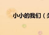 小小的我们（关于小小的我们介绍）