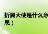 折翼天使是什么意思啊（折翼的天使是什么意思）