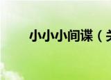小小小间谍（关于小小小间谍介绍）
