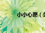 小小心愿（关于小小心愿介绍）