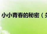 小小青春的秘密（关于小小青春的秘密介绍）