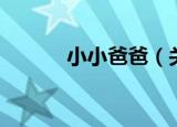 小小爸爸（关于小小爸爸介绍）