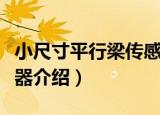小尺寸平行梁传感器（关于小尺寸平行梁传感器介绍）