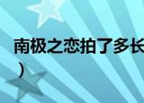 南极之恋拍了多长时间（南极之恋在哪里拍的）