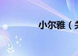 小尔雅（关于小尔雅介绍）