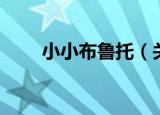 小小布鲁托（关于小小布鲁托介绍）