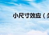 小尺寸效应（关于小尺寸效应介绍）