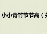 小小青竹节节高（关于小小青竹节节高介绍）