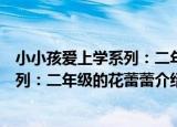 小小孩爱上学系列：二年级的花蕾蕾（关于小小孩爱上学系列：二年级的花蕾蕾介绍）
