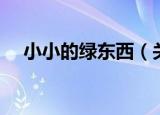 小小的绿东西（关于小小的绿东西介绍）