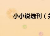 小小说选刊（关于小小说选刊介绍）