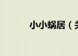 小小蜗居（关于小小蜗居介绍）