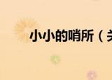 小小的哨所（关于小小的哨所介绍）
