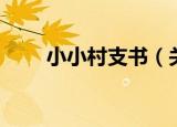 小小村支书（关于小小村支书介绍）