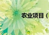 农业项目（农业项目有哪些）