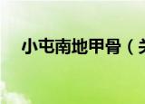 小屯南地甲骨（关于小屯南地甲骨介绍）