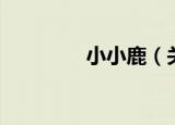 小小鹿（关于小小鹿介绍）