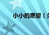 小小的愿望（关于小小的愿望介绍）