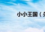 小小王国（关于小小王国介绍）
