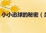 小小追球的秘密（关于小小追球的秘密介绍）