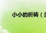 小小的祈祷（关于小小的祈祷介绍）