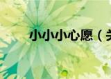 小小小心愿（关于小小小心愿介绍）